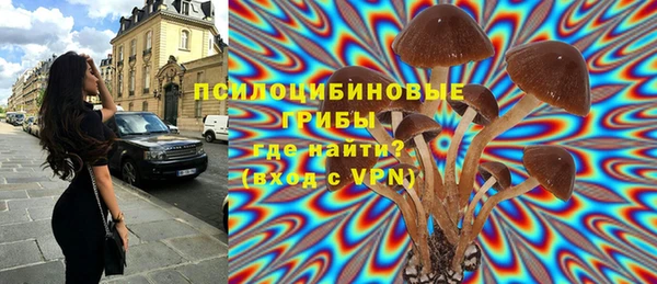 а пвп мука Алзамай