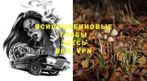 соль курить ск Алексеевка