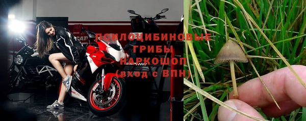 а пвп мука Алзамай